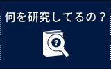 何を研究してるの？